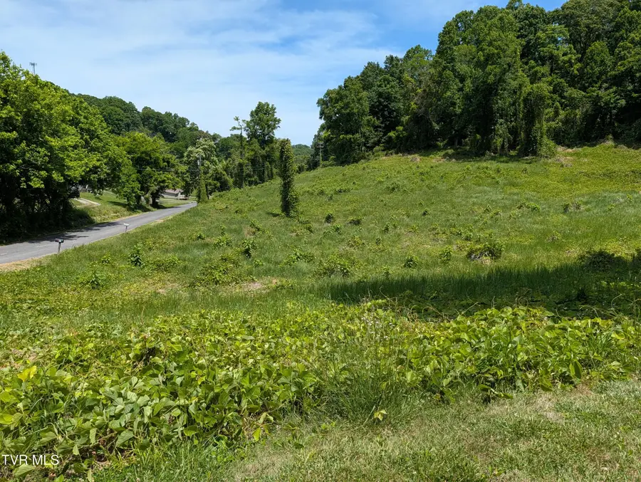 Tbd Tuggle Hill Road #114 015.001, Rogersville, TN 37857 - #3