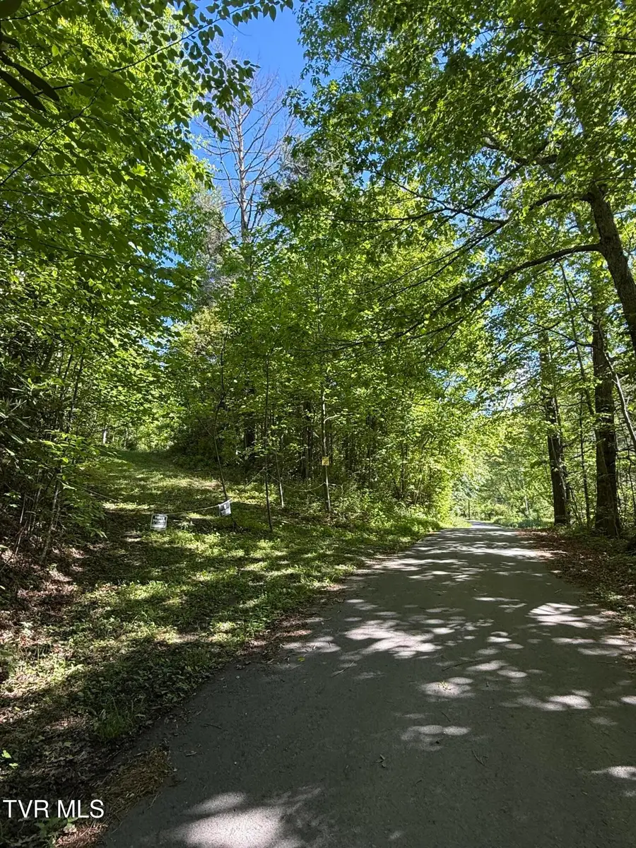Tbd Chandler Circle, Greeneville, TN 37743 - #3