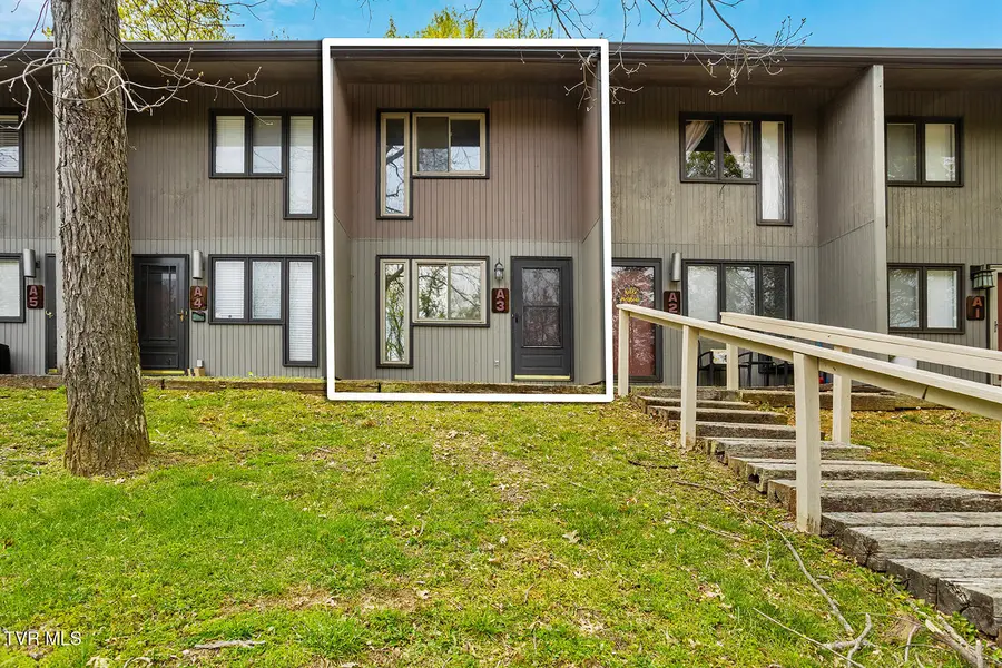 115 Beechnut Street #A3, Johnson City, TN 37601 - #2