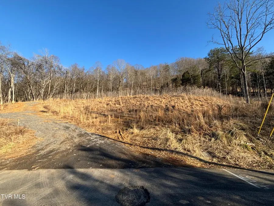 4145 Cooks Landing Road, Kingsport, TN 37664 - #2