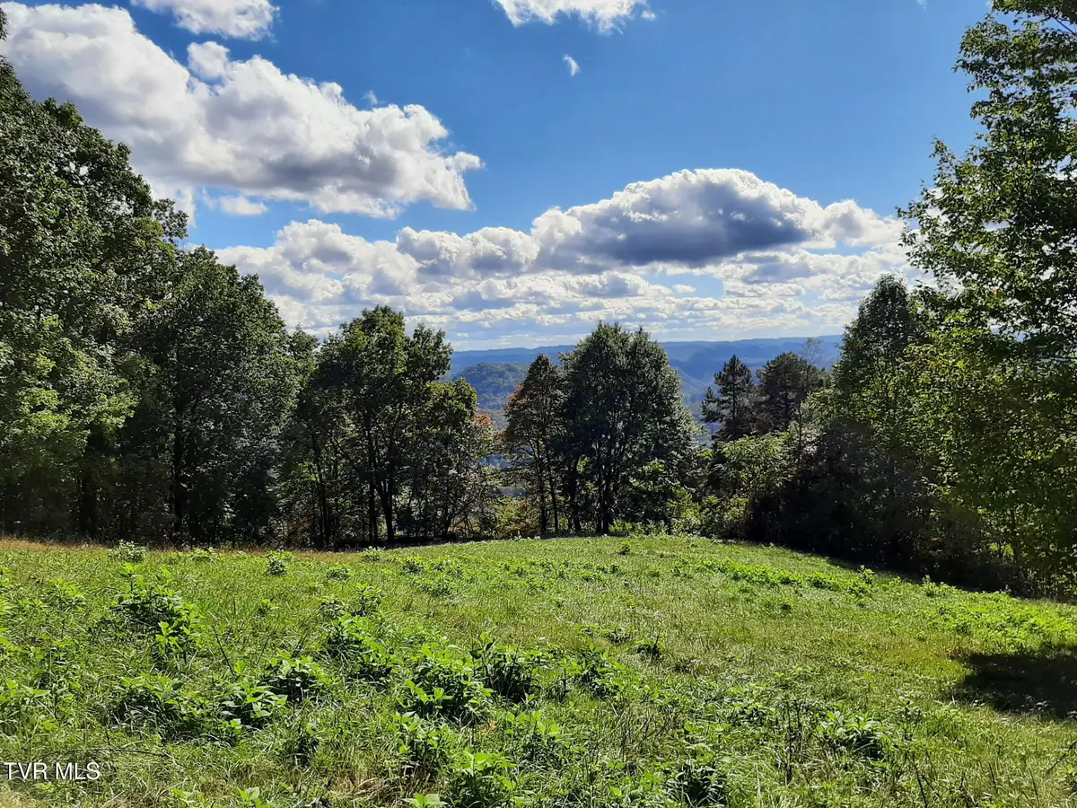 4022 Duff Patt Highway, Duffield, VA 24244 - #1