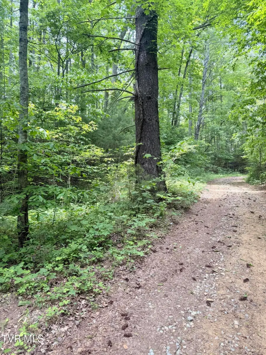 00 Tennessee Way, Del Rio, TN 37727 - #2
