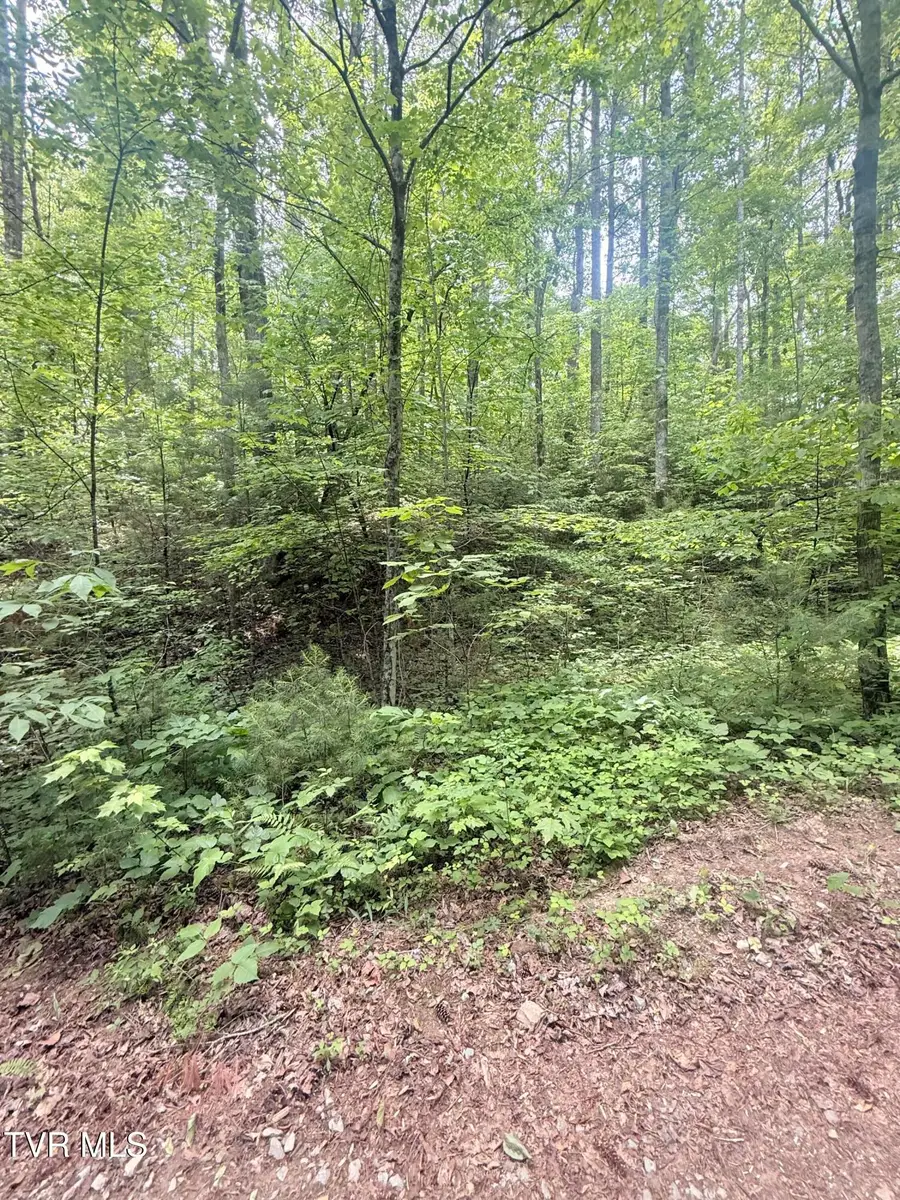 00 Tennessee Way, Del Rio, TN 37727 - #3