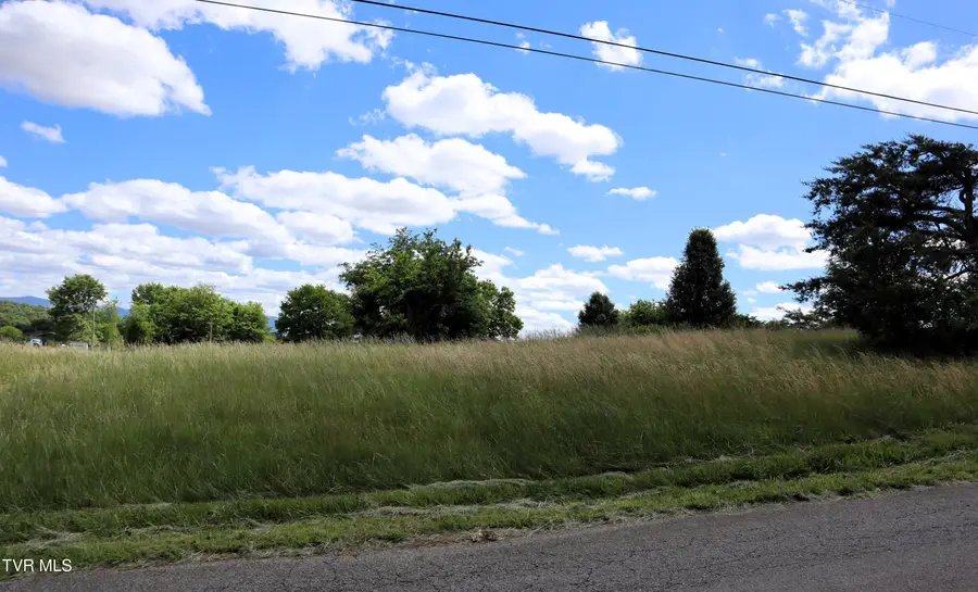 9170 Old Stage Road, Limestone, TN 37681 - #2