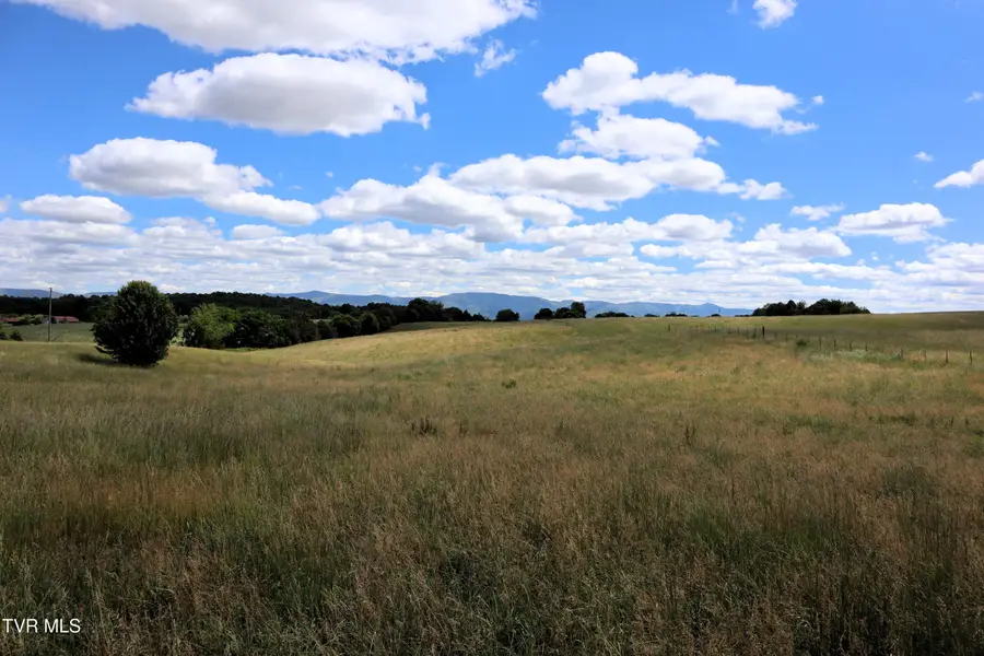 9170 Old Stage Road, Limestone, TN 37681 - #3