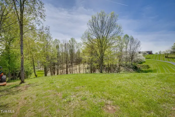 Tbd Chaucer Court, Johnson City, TN 37615