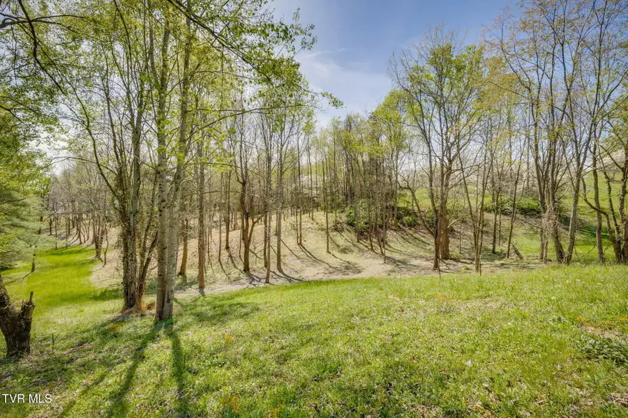 Tbd Chaucer Court, Johnson City, TN 37615 - #2