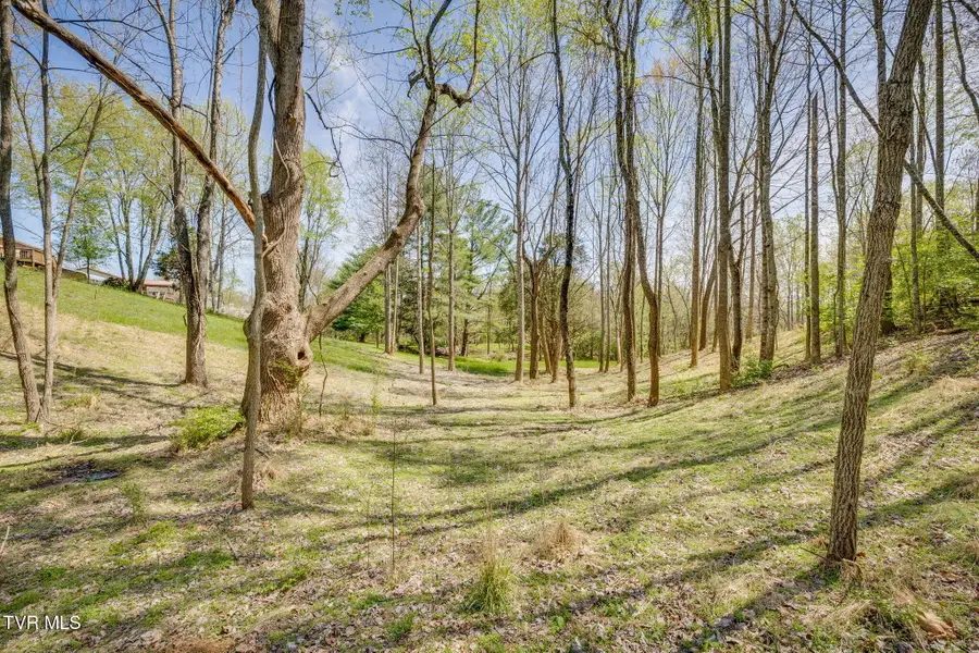 Tbd Chaucer Court, Johnson City, TN 37615 - #3