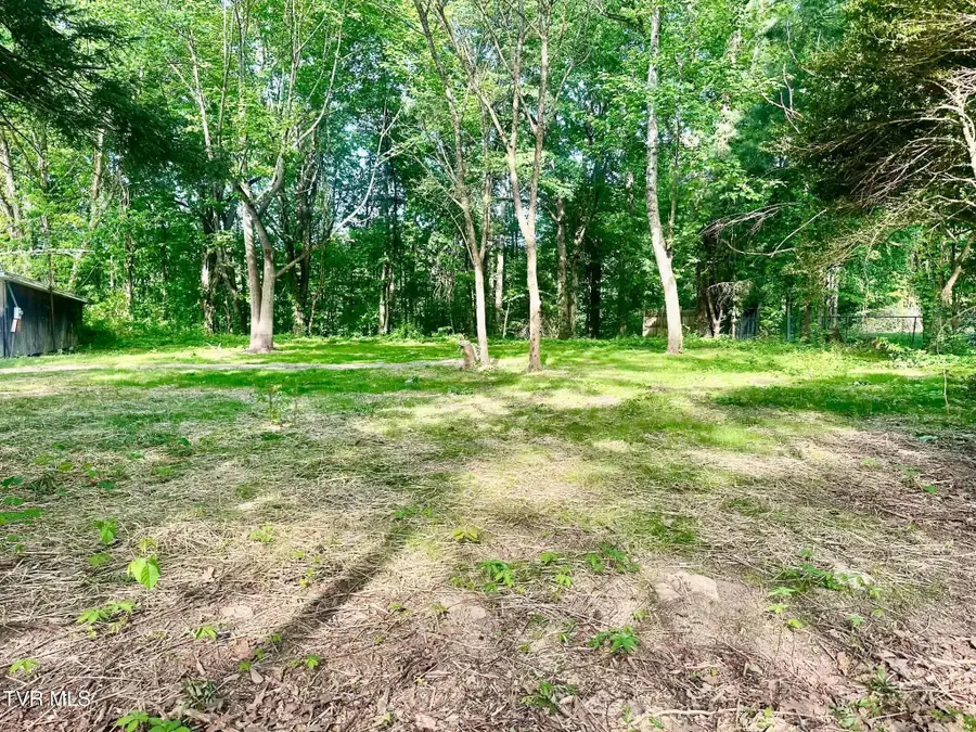6945 U.s. 421 Scenic, Bristol, TN 37620 - #3