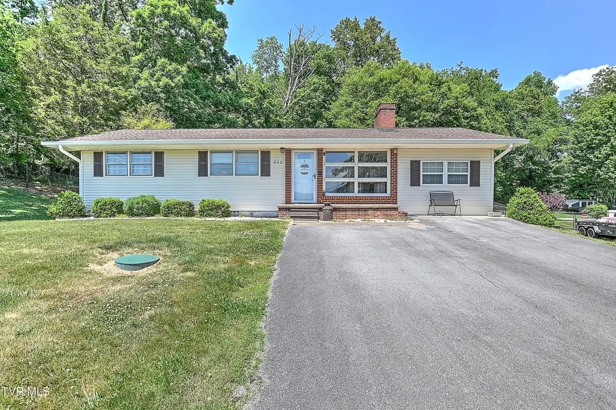 246 Florence Drive, Blountville, TN 37617 - #1