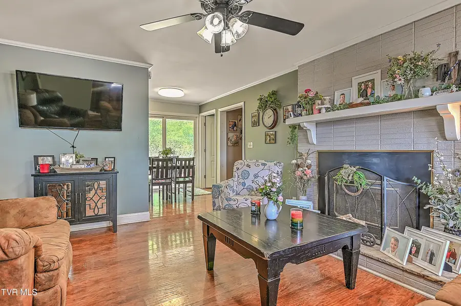 246 Florence Drive, Blountville, TN 37617 - #3