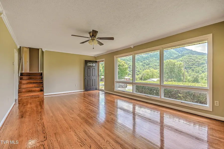 163 Valleyview, Gate City, VA 24251 - #2