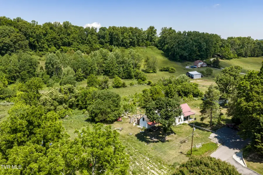 113 Mcinturff Lane, Johnson City, TN 37604 - #2