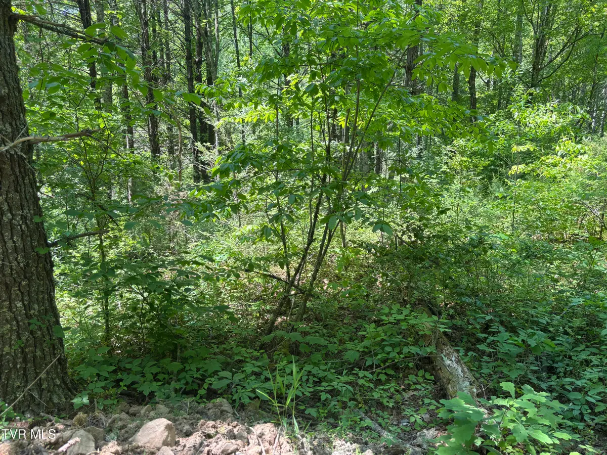 889 Hide Away Drive, Butler, TN 37640 - #1