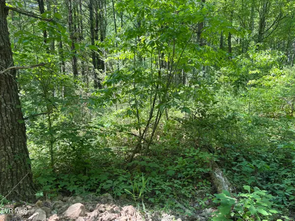 889 Hide Away Drive, Butler, TN 37640