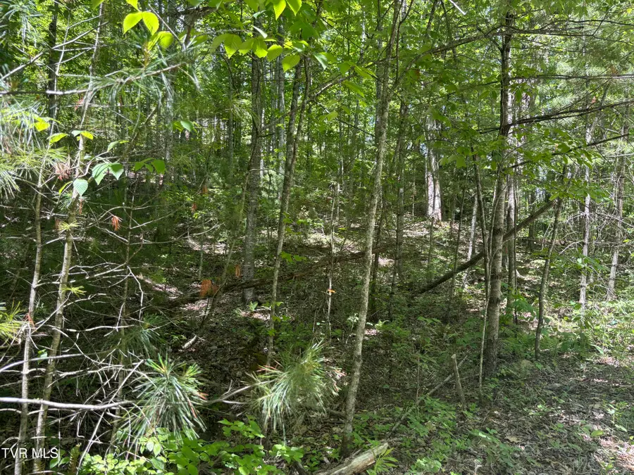 889 Hide Away Drive, Butler, TN 37640 - #3