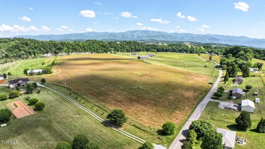 Lot 15 Blackberry Lane, Afton, TN 37616 - #2