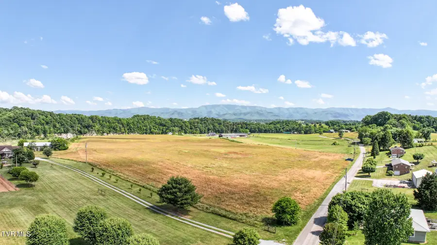 Lot 15 Blackberry Lane, Afton, TN 37616 - #3