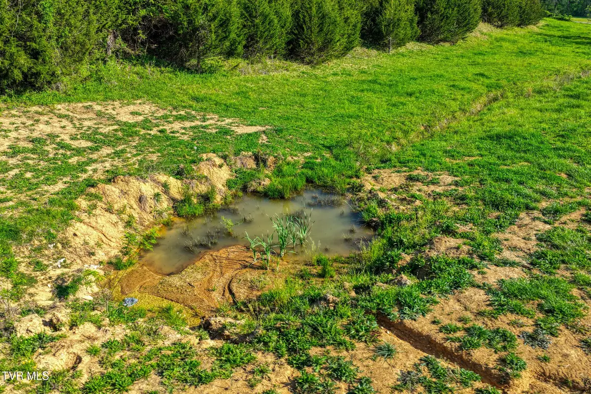 Tbd Cloud Creek Road, Rogersville, TN 37857 - #1