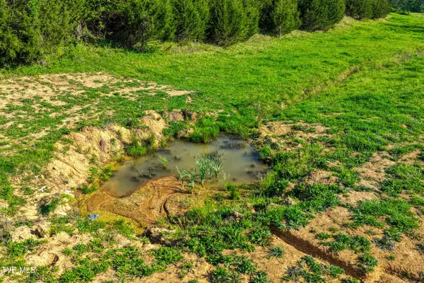 Tbd Cloud Creek Road, Rogersville, TN 37857