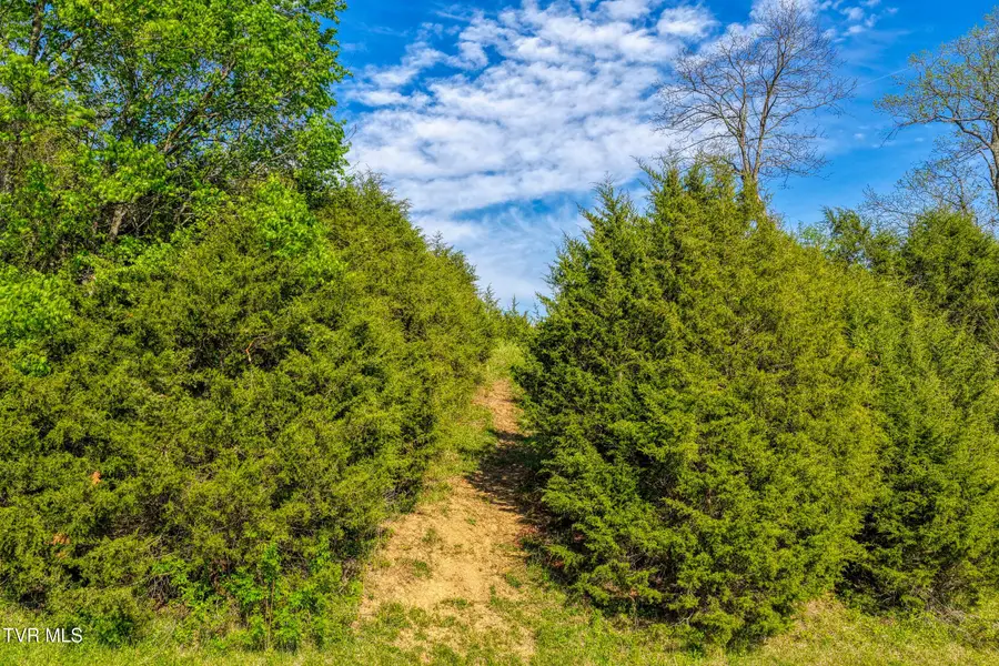 Tbd Cloud Creek Road, Rogersville, TN 37857 - #2
