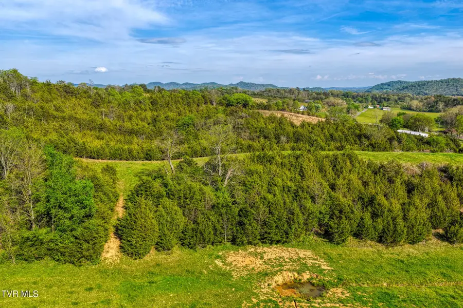 Tbd Cloud Creek Road, Rogersville, TN 37857 - #3