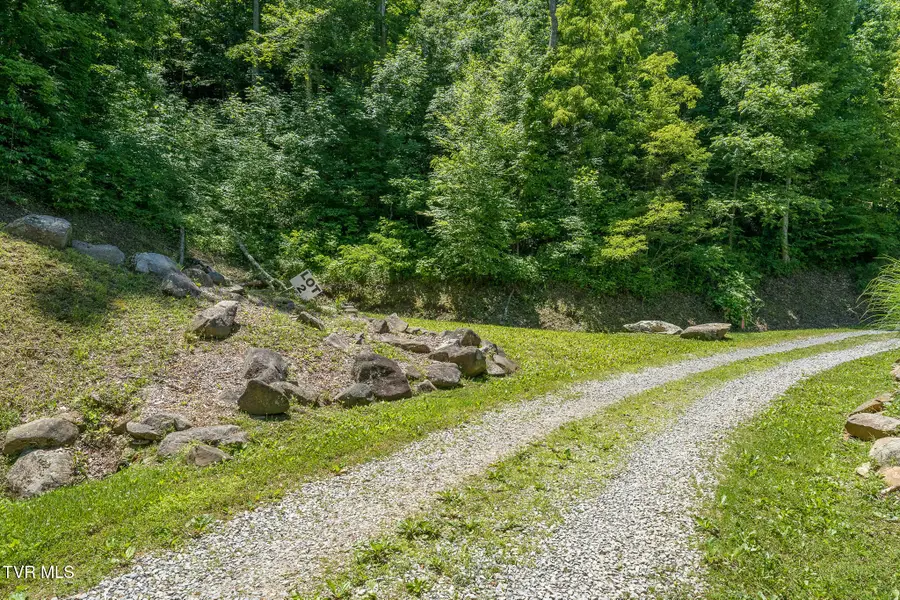 3 Ridgetop Lane, Unicoi, TN 37692 - #2