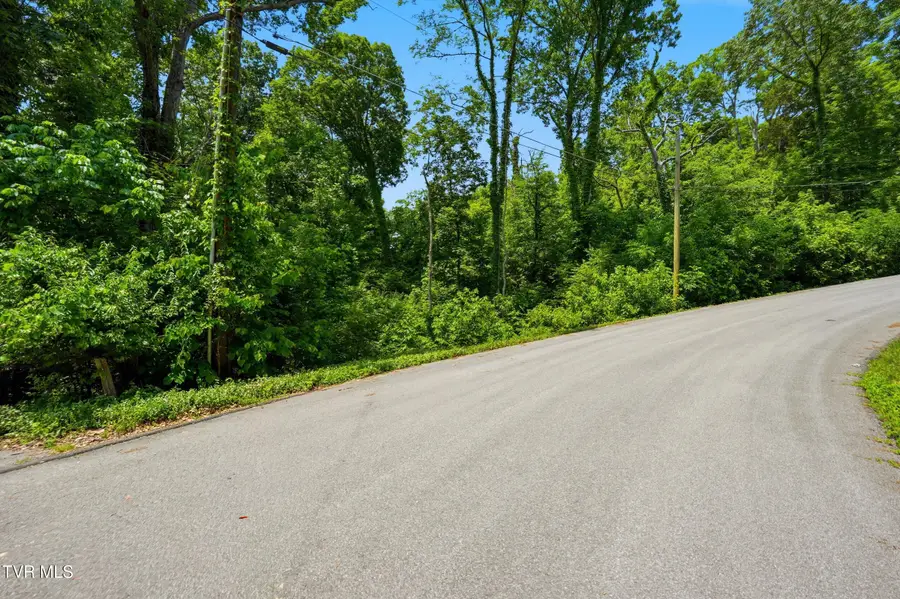 Tbd Blackheath Road, Kingsport, TN 37660 - #3