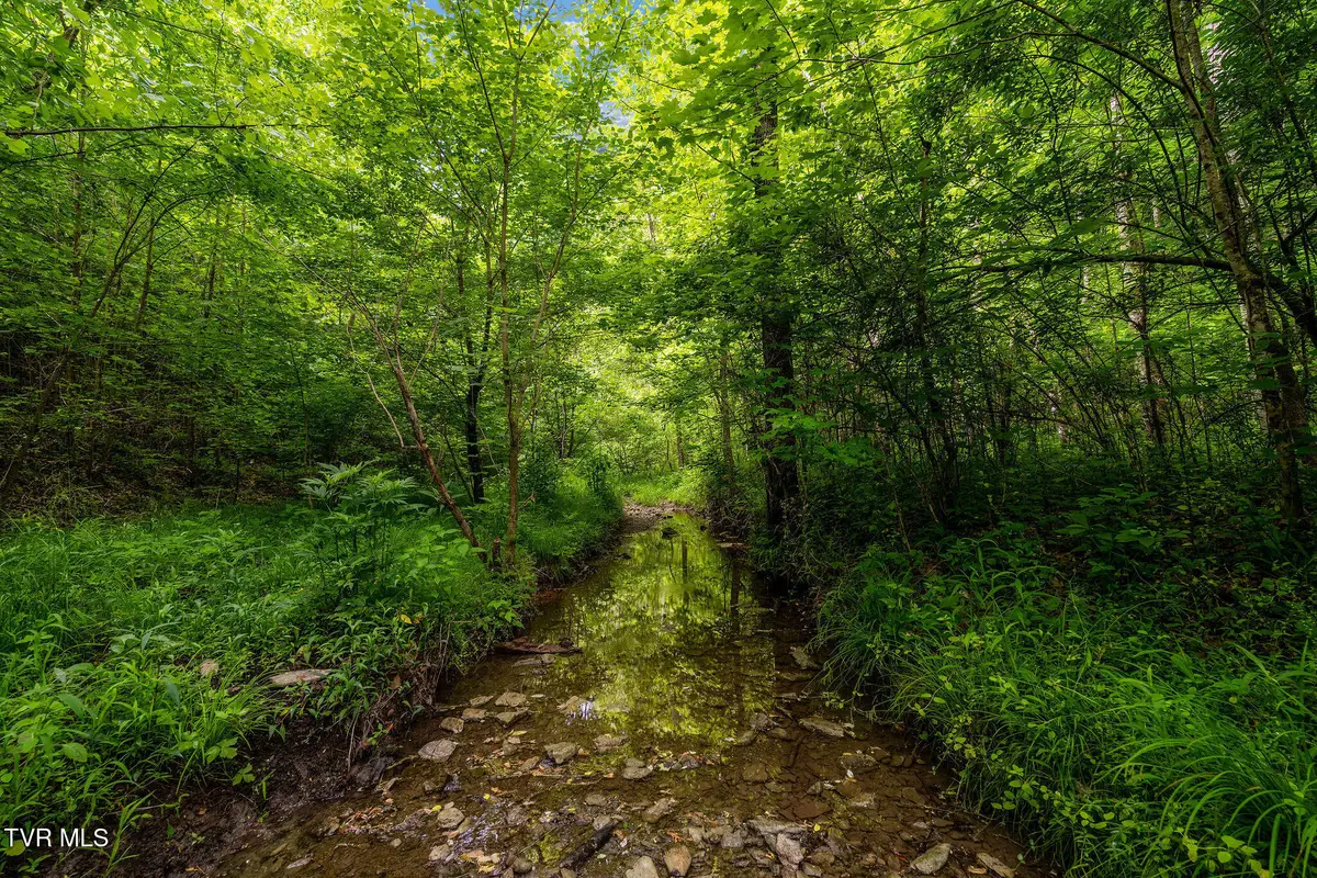 Tbd Rocky Hollow Road, Rogersville, TN 37857 - #1