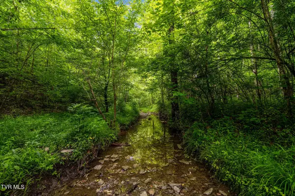 Tbd Rocky Hollow Road, Rogersville, TN 37857