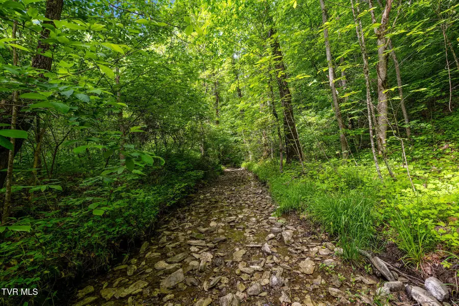 Tbd Rocky Hollow Road, Rogersville, TN 37857 - #2
