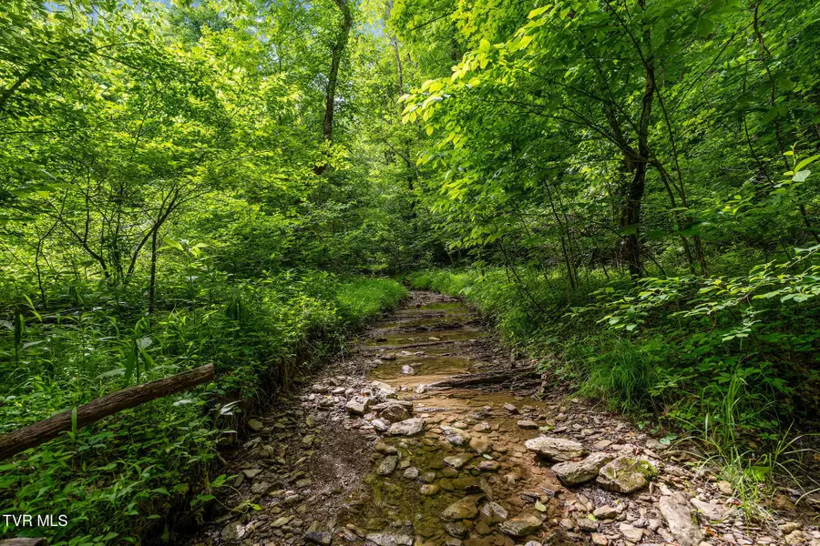 Tbd Rocky Hollow Road, Rogersville, TN 37857 - #3