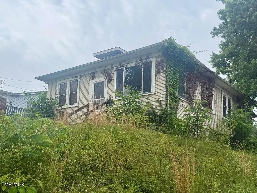 322 Parks Worley, Bluff City, TN 37618 - #1