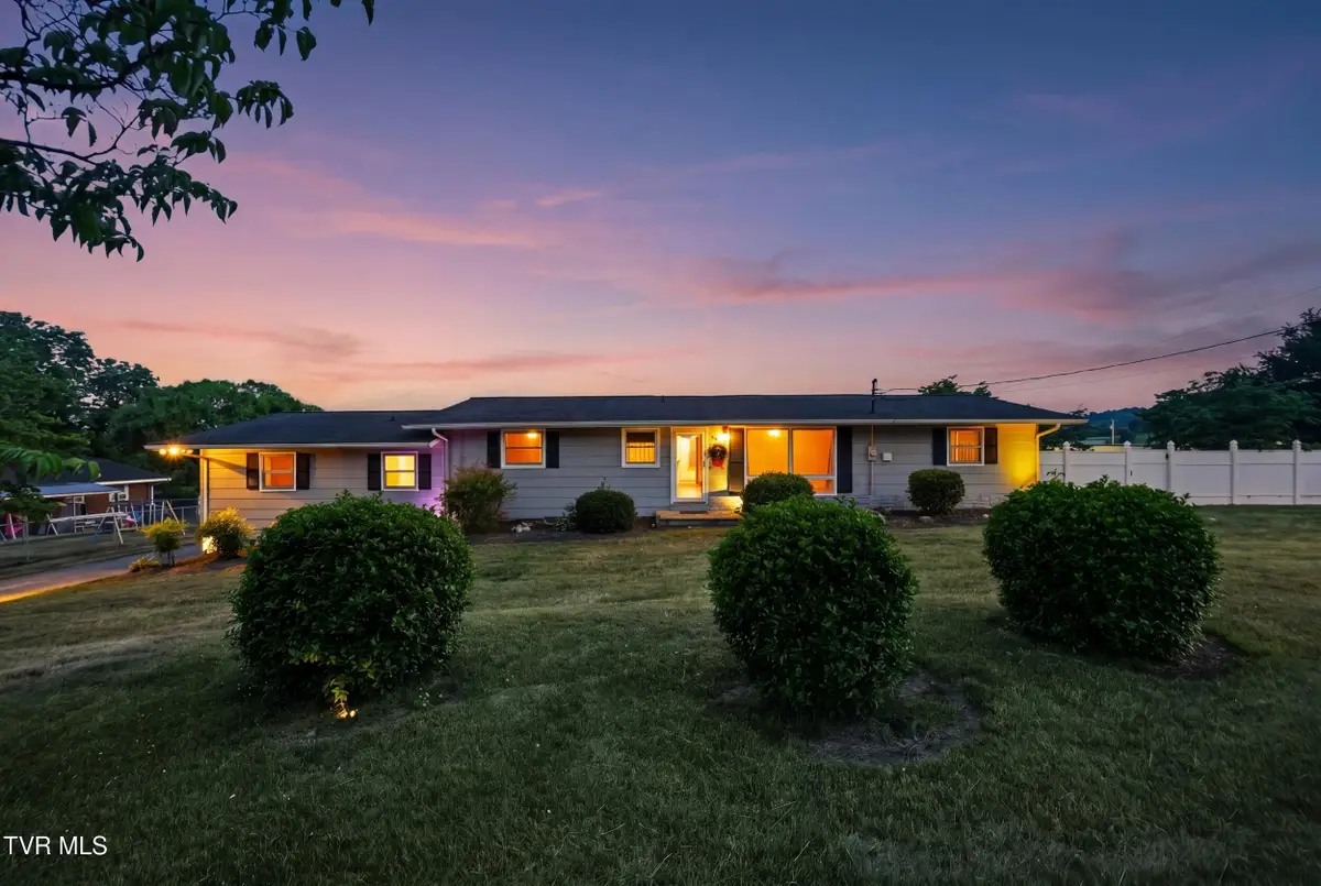 165 Richard Street, Gray, TN 37615 - #1