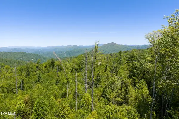 Tbd Walnut Mountain Road #Tbd, Roan Mountain, TN 37687