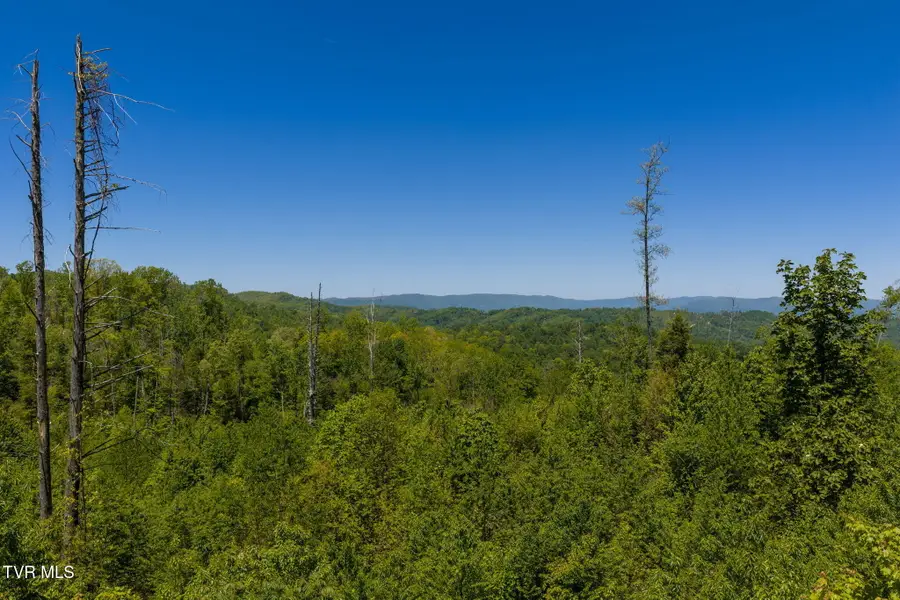 Tbd Walnut Mountain Road #Tbd, Roan Mountain, TN 37687 - #3