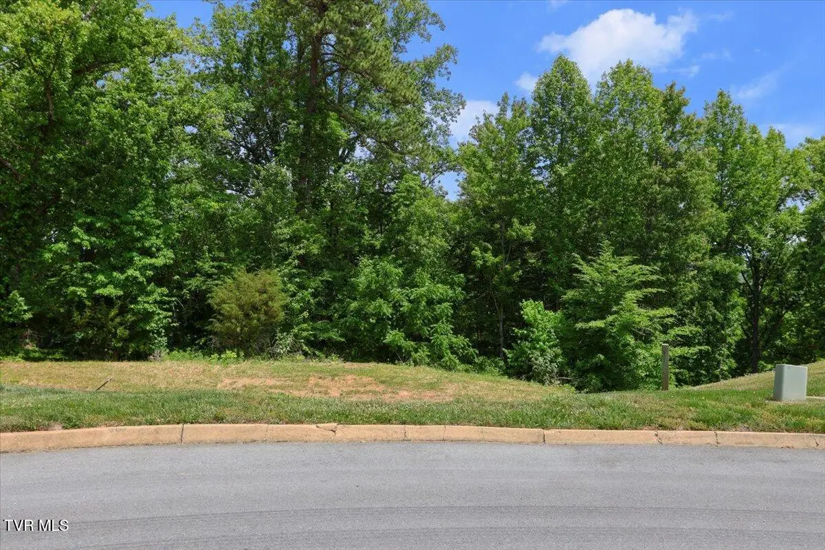 Lot 33 English Ivy Trail #Lot 33, Jonesborough, TN 37659 - #1