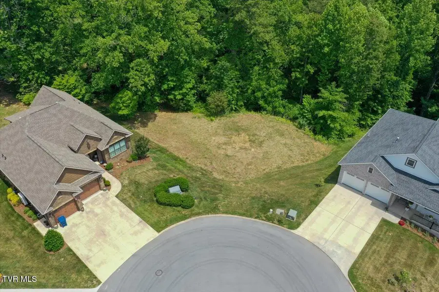 Lot 33 English Ivy Trail #Lot 33, Jonesborough, TN 37659 - #3
