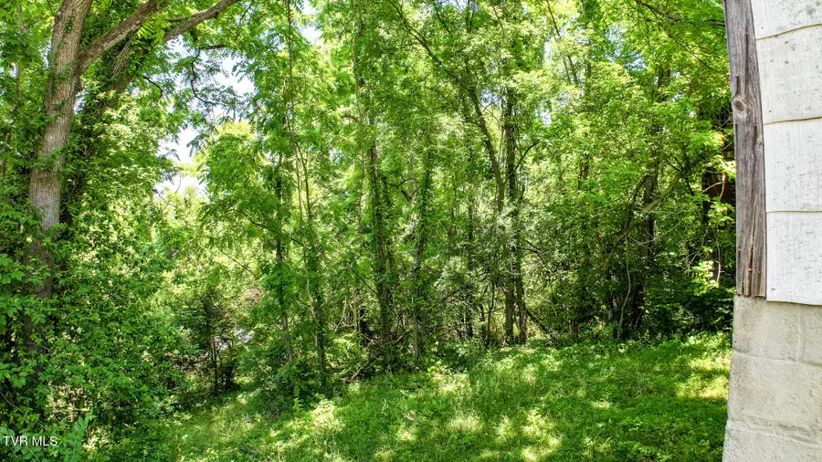 321 Leonard Street, Greeneville, TN 37745 - #3
