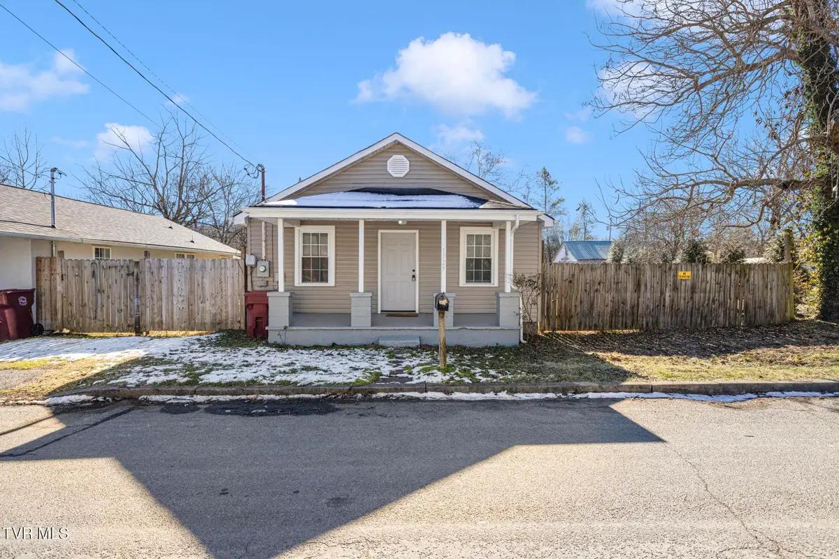 1729 Mary Street, Johnson City, TN 37604 - #1