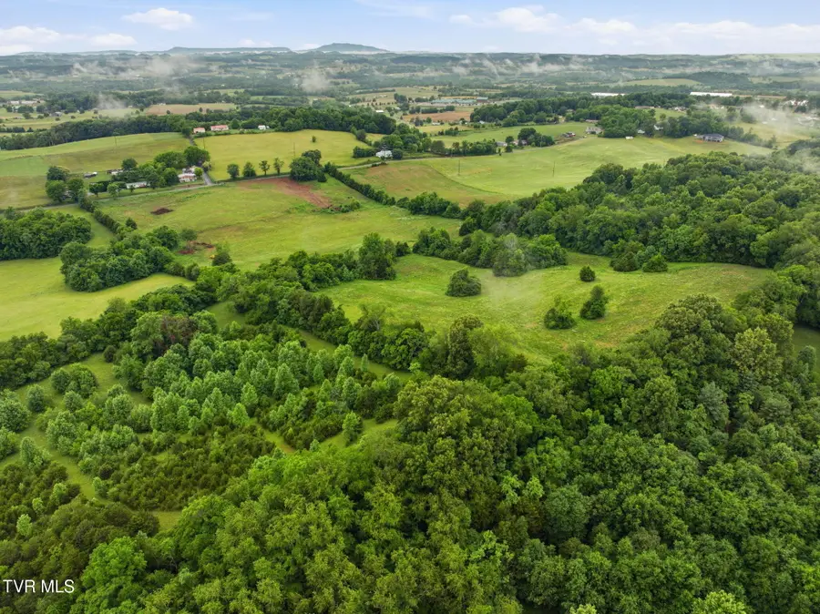 Lot 4 Paynetown Road, Telford, TN 37690 - #2