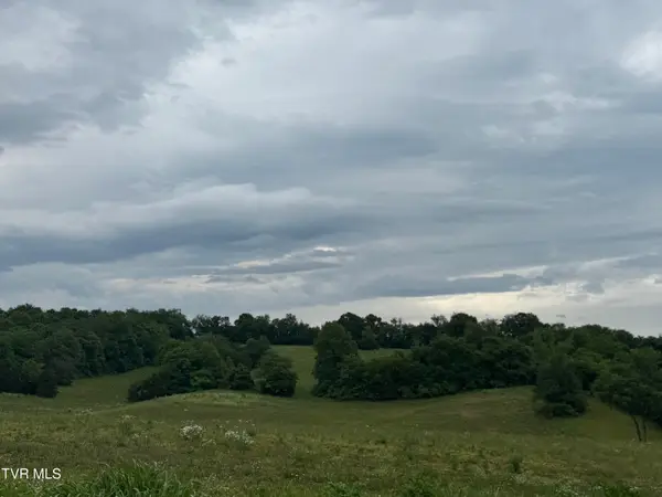 0 Paynetown Road, Telford, TN 37690