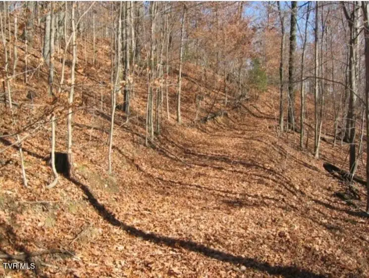 Tbd Bailey Cemetery Road, Tazewell, TN 37879 - #2