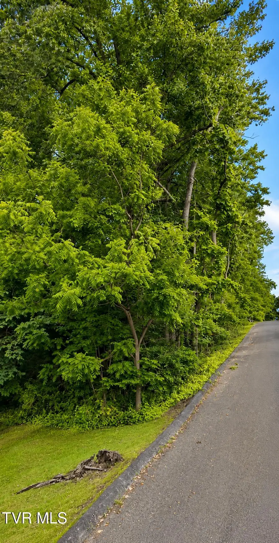 1511 Hillside Avenue, Bristol, TN 37620 - #2