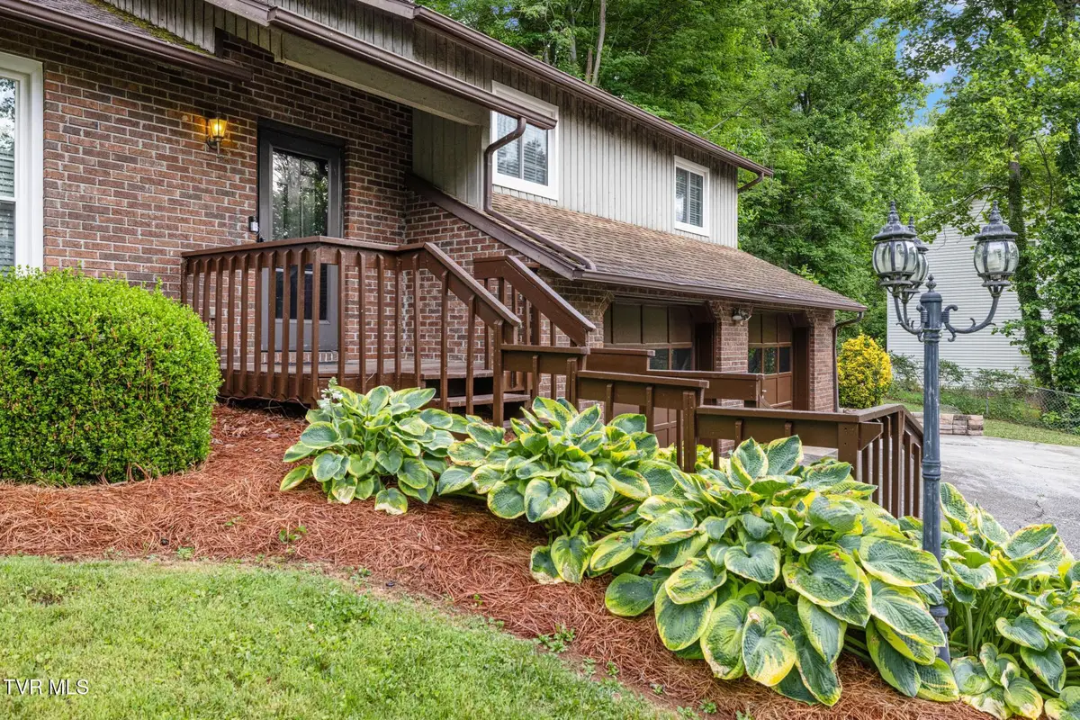 707 Lazywood Drive, Johnson City, TN 37601 - #1