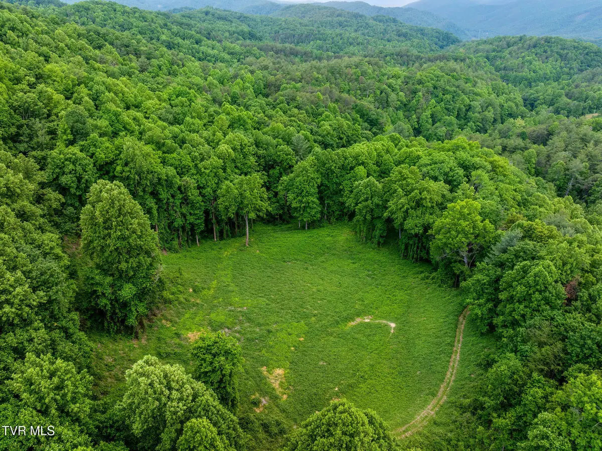 Tbd Black Mountain Road, Hartford, TN 37753 - #1