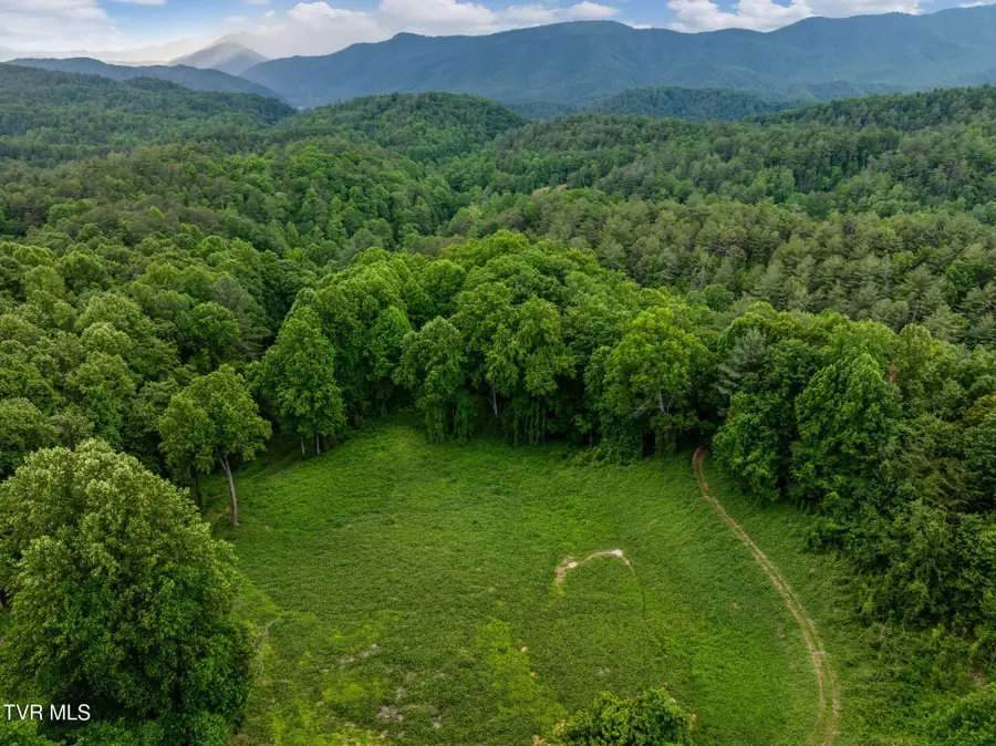 Tbd Black Mountain Road, Hartford, TN 37753 - #3