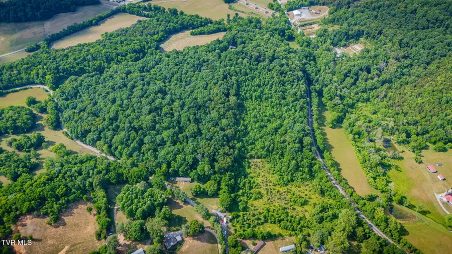 Lot 1 Burkey Road, Greeneville, TN 37743 - #3