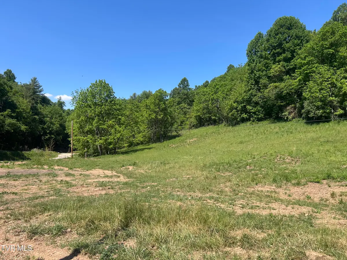 1684 Draft Road, Butler, TN 37640 - #1