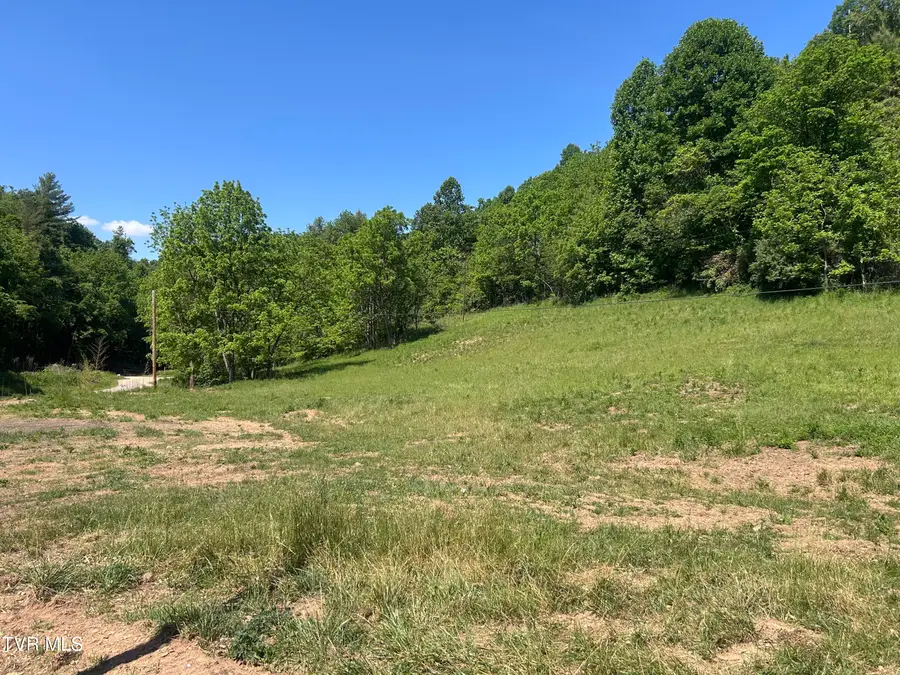 1684 Draft Road, Butler, TN 37640 - #2